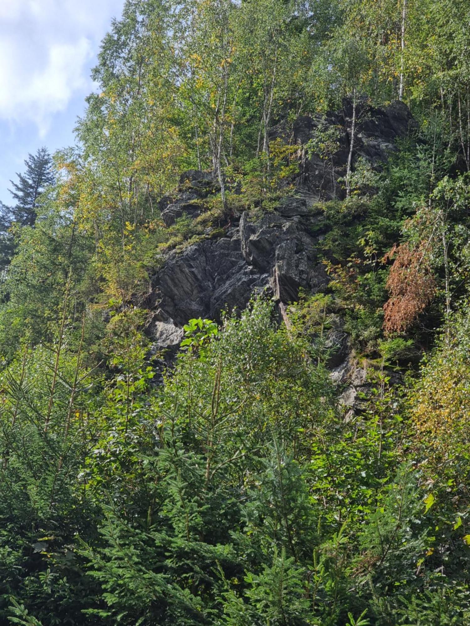 Roubenka Mlyn U Skaly Destne V Orlickych Horach Volne Terminy 5 Bytu Dış mekan fotoğraf