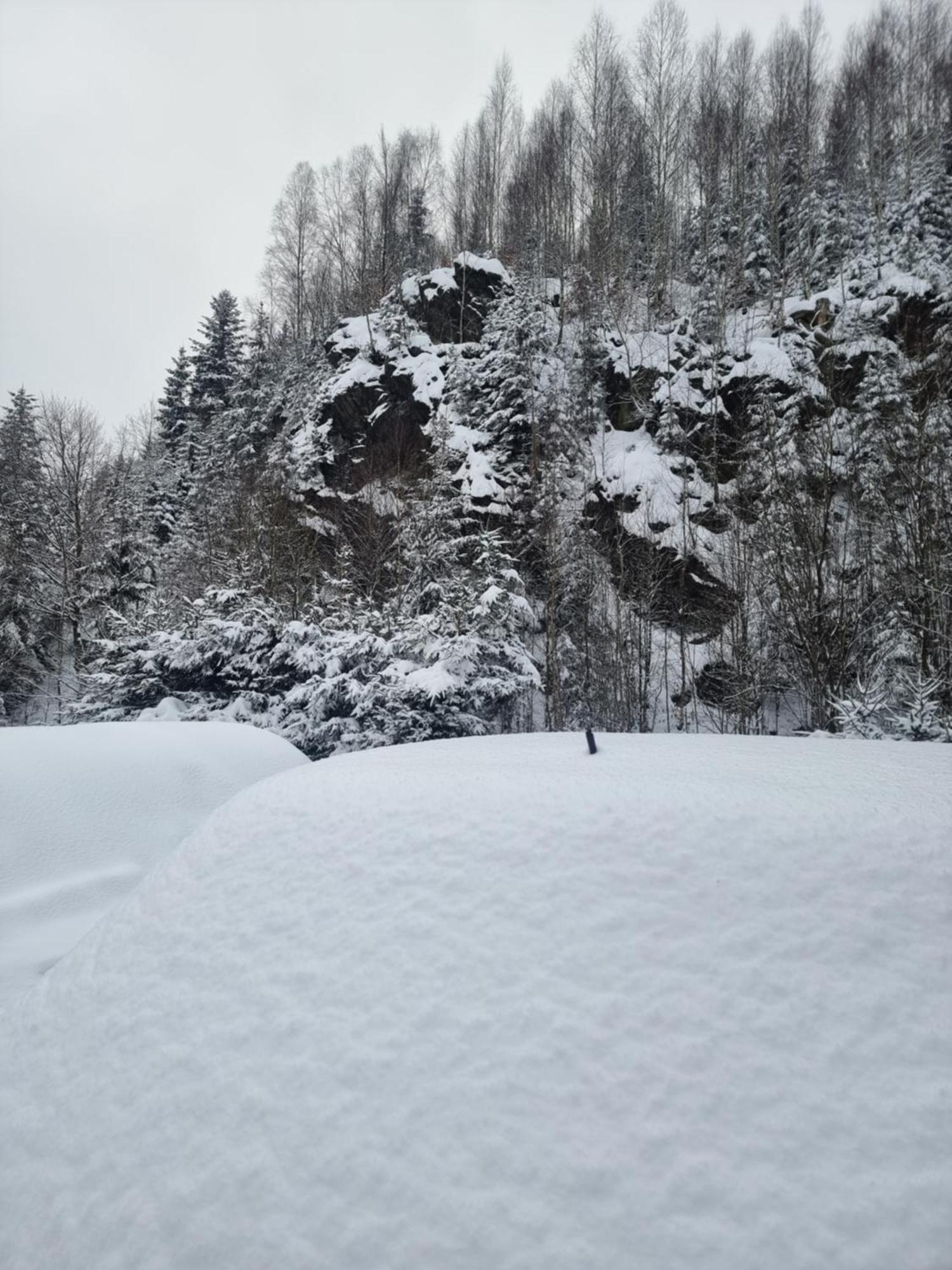 Roubenka Mlyn U Skaly Destne V Orlickych Horach Volne Terminy 5 Bytu Dış mekan fotoğraf