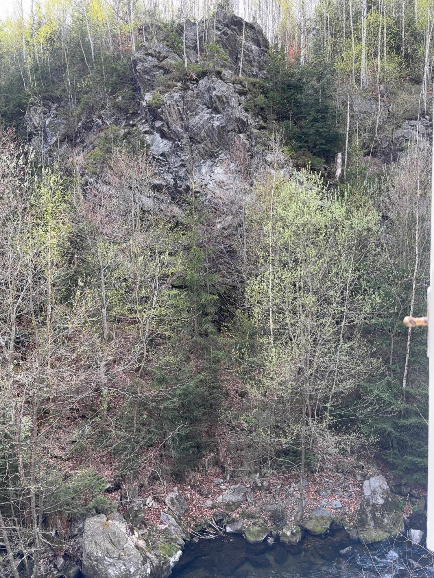 Roubenka Mlyn U Skaly Destne V Orlickych Horach Volne Terminy 5 Bytu Dış mekan fotoğraf